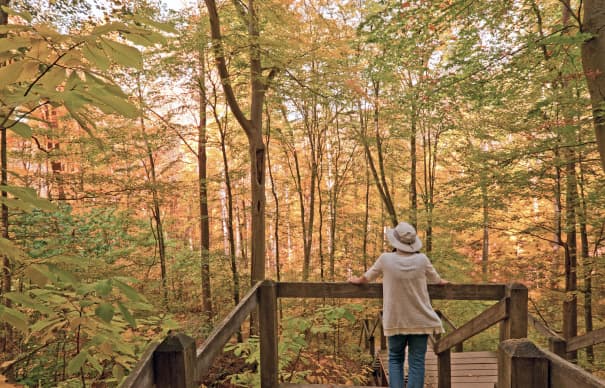 A hiker overlooking the fall colors in Indiana