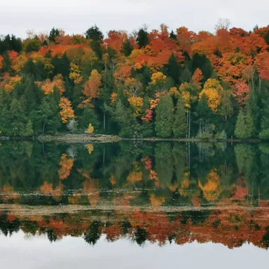 Algonquin Provincial Park Fall Colours