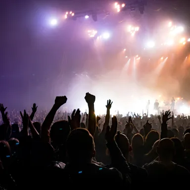 Bonnaroo Music & Arts Festival