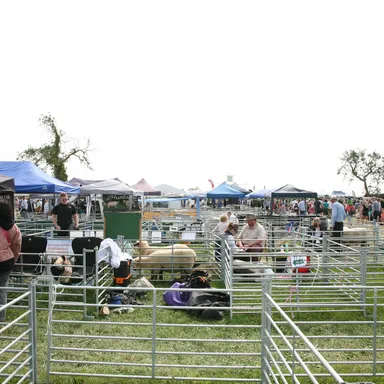 Erin Fall Fair