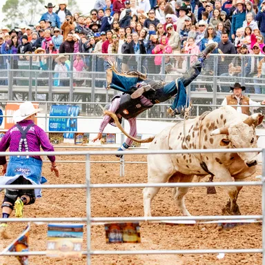 Festival Western de St-Tite