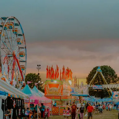 Georgia National Fair