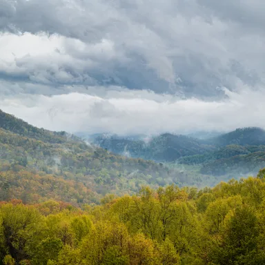 Great Smoky Mountains Fall Colors