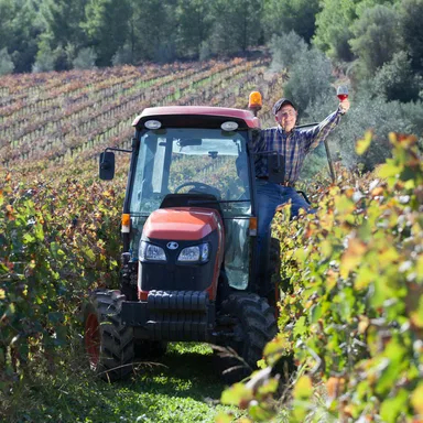 Okanagan Wine Festivals