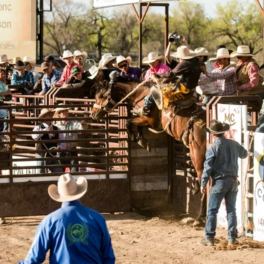 Ponoka Stampede