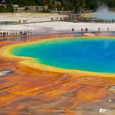 Yellowstone National Park