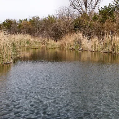 Abilene State Park