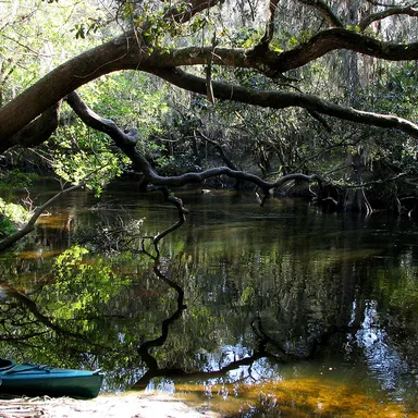 Alafia River State Park