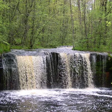 Banning State Park