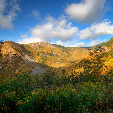 Beaver Mountain Provincial Park