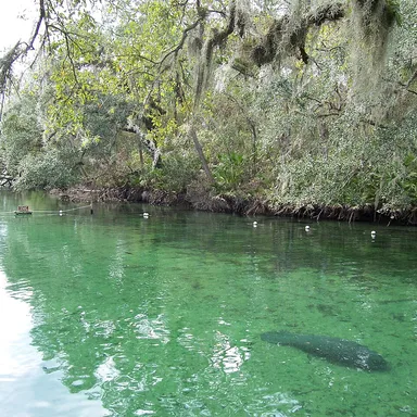 Blue Spring State Park