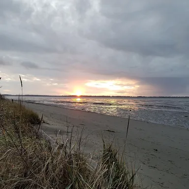 Bottle Beach State Park