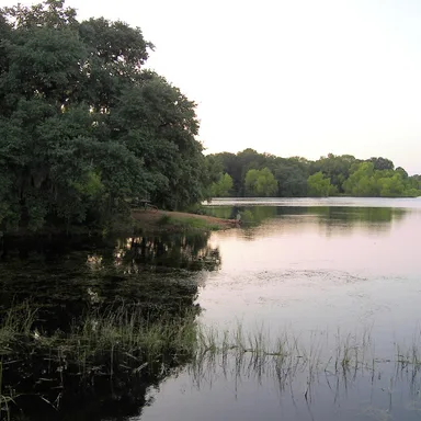 Buescher State Park