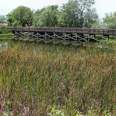 Cedar Hill State Park