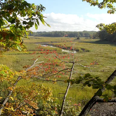 Cheesequake State Park