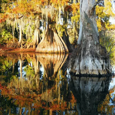Chicot State Park