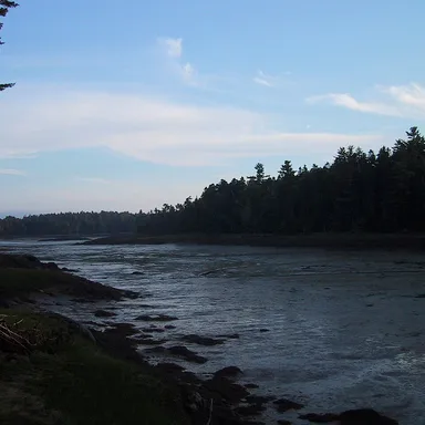 Cobscook Bay State Park