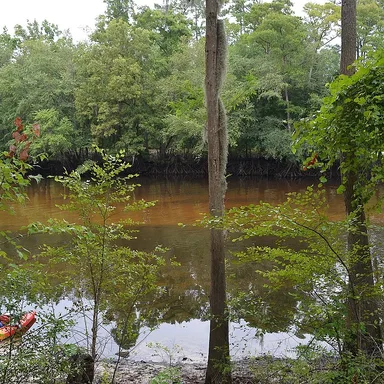 Colleton State Park
