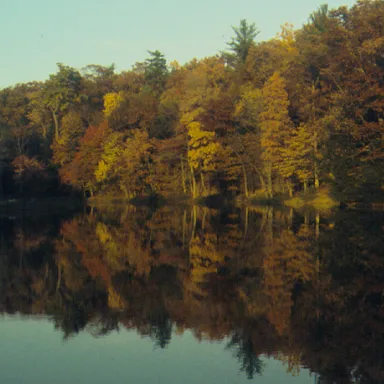 Colonel Denning State Park