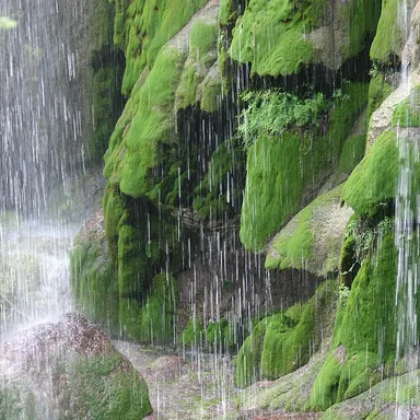 Colorado Bend State Park