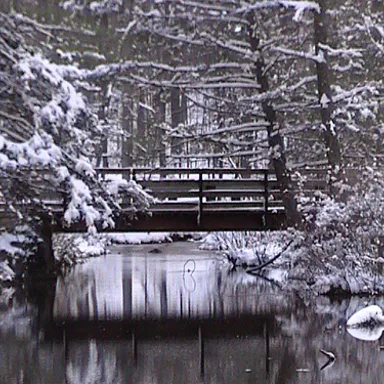 Cowans Gap State Park