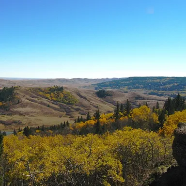 Cypress Hills Provincial Park