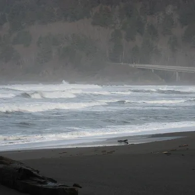 Del Norte Coast Redwoods State Park