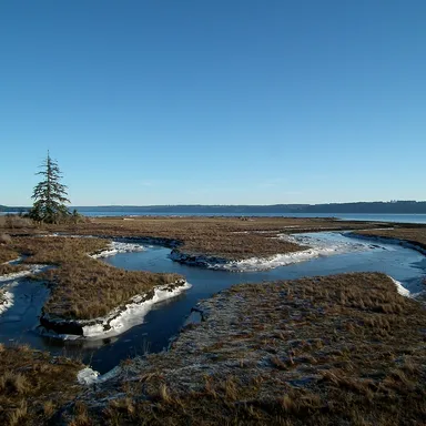 Dosewallips State Park