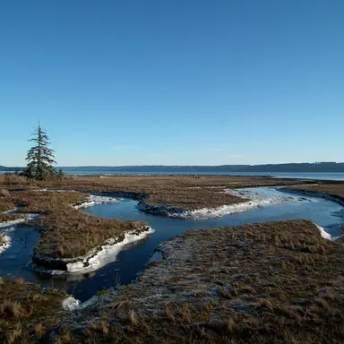 Dosewallips State Park