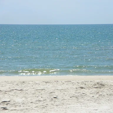 Dr. Julian G. Bruce St. George Island State Park