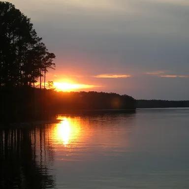 Elijah Clark State Park
