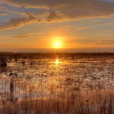Everglades National Park