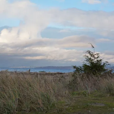 Fay Bainbridge State Park