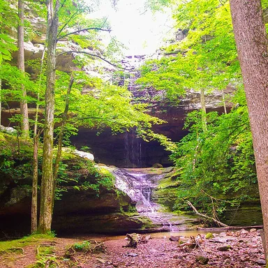 Ferne Clyffe State Park