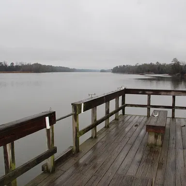 Florence Marina State Park