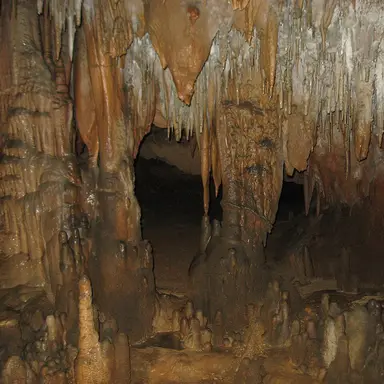 Florida Caverns State Park