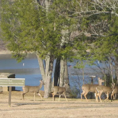 Green River Lake State Park