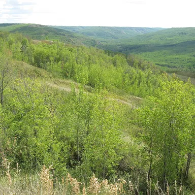 Greene Valley Provincial Park