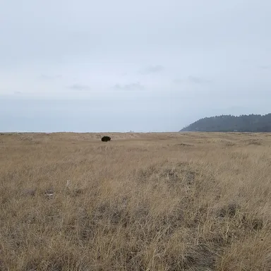 Griffiths-Priday Ocean State Park