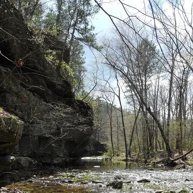 Hawn State Park