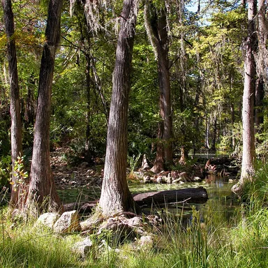 Honey Creek State Natural Area