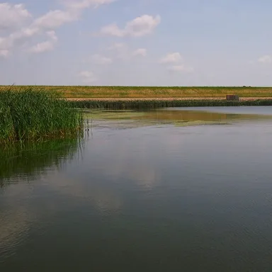 Icelandic State Park