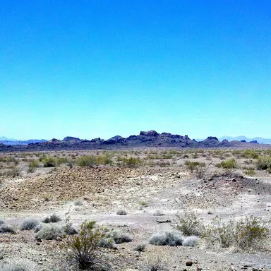 Lake Havasu State Park