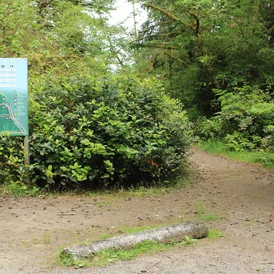 Leadbetter Point State Park