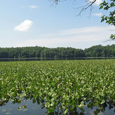 Leesylvania State Park