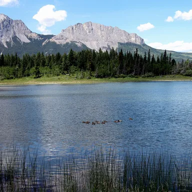 Little Bow Provincial Park