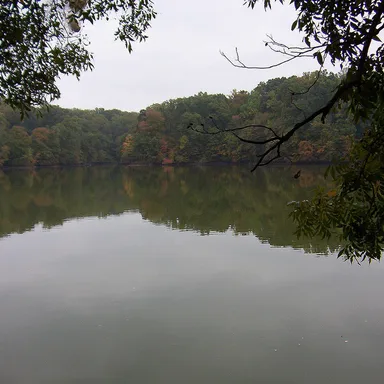 Meeman-Shelby Forest State Park