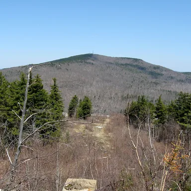 Miller State Park