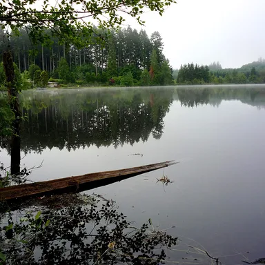 Millersylvania State Park