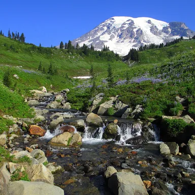 Mount Rainier National Park